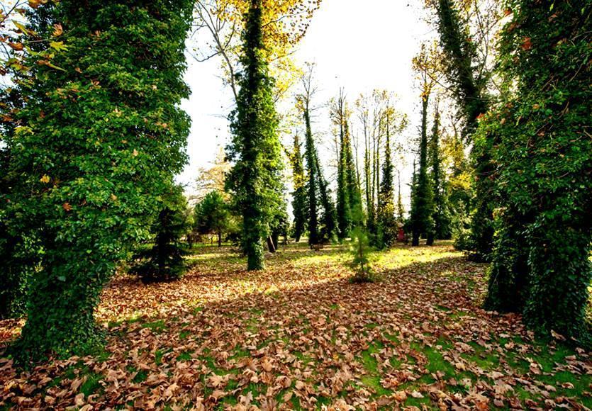 فندق Filyos Ecopark جايكوما المظهر الخارجي الصورة